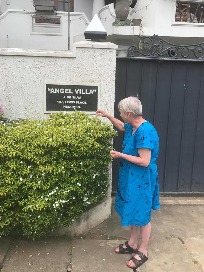 Angel Villa Negombo Zewnętrze zdjęcie